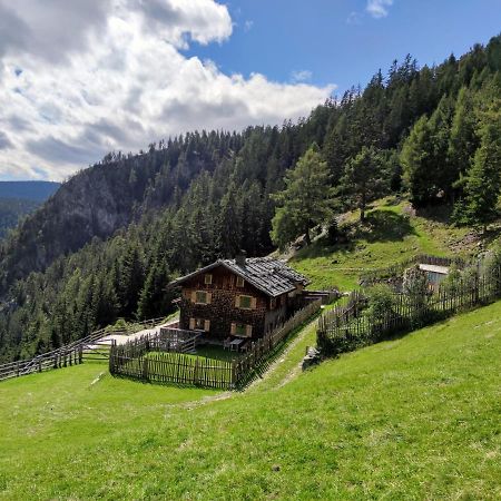 Apartamento Hirschhof Pfrein - Hideaway Chiusa Exterior foto